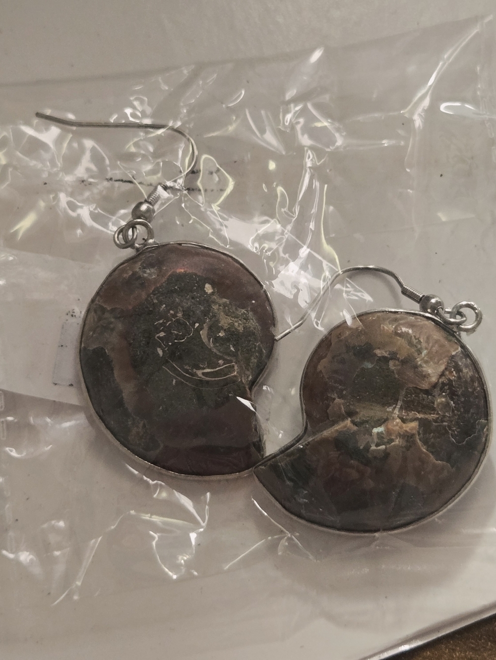 New Natural A. Mmonite Fossil Earrings